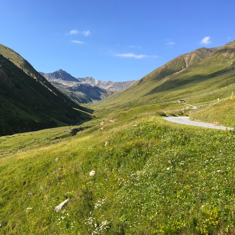 Tour Hiking di Federia - Livigno