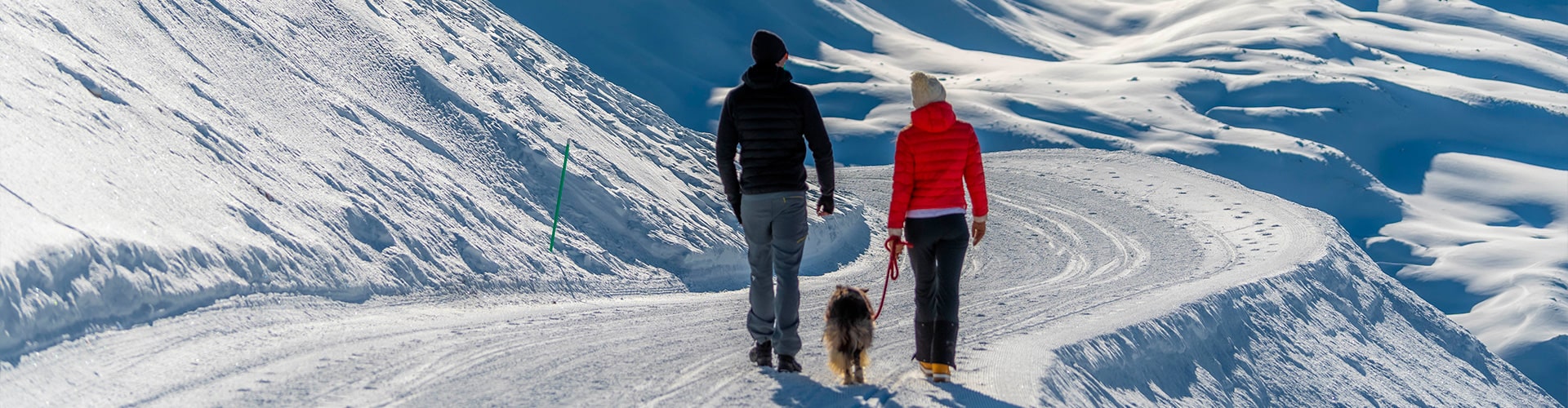 Passeggiata sulle Neve a Livigno